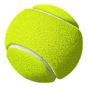 Prince Ali Casino | afisha-tennis